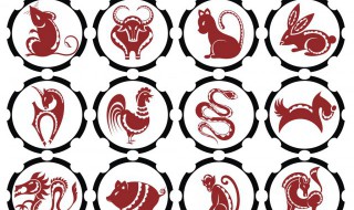 95年属什么生肖的 生肖的划分方法