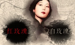 张爱玲的经典十句话 张爱玲的经典语录