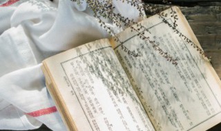 村居描写的景物有哪些 村居描写的景物列述