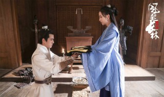 琅琊榜之风起长林台词 琅琊榜之风起长林经典台词