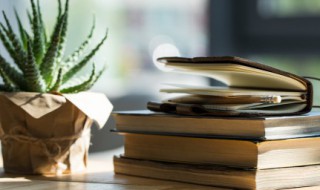 一句很长的话 路很长的句子励志