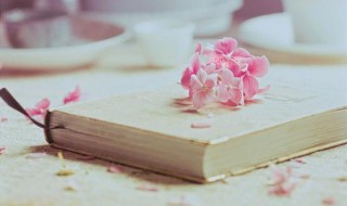 相对密度是什么意思 相对密度释义