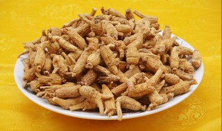 洋参的功效与作用及食用方法 洋参的功效与作用及食用方法是什么