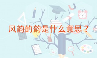风韵的韵是什么意思 风韵是什么意思