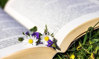 使命必达的意思 使命必达的造句