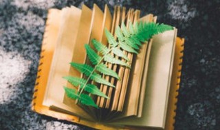 爱心捐赠经典语录 爱心捐赠的话语