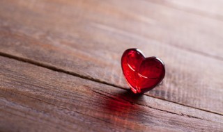 暖心情话语录 最感动的暖心情话语录