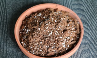 营养土简单制作方法 制作营养土的方法