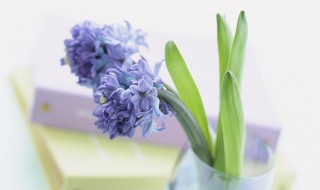 讴歌型吐槽是什么梗 讴歌型吐槽使用场景