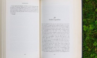 悯农的悯是什么意思 悯农出自哪里