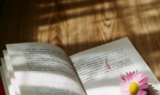 掌故的意思 掌故的意思简述