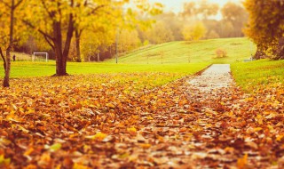 适合秋天发朋友圈的说说 秋天的感慨说说