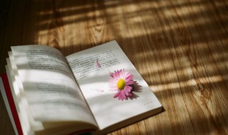 日照香炉生紫烟的生是什么意思 日照香炉生紫烟原文及释义