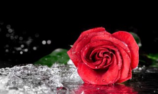 大病初愈的祝福语简短 大病初愈的祝福语简短列述