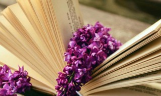 工于谋国拙于谋身什么意思 工于谋国拙于谋身的意思