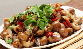 香螺清洗方法 如何清洗香螺