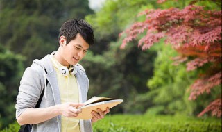 一树花开什么意思 一树花开介绍