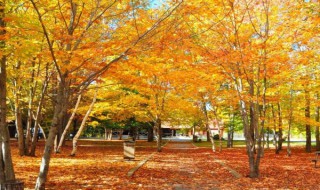 简单微信名 简单好听的微信名