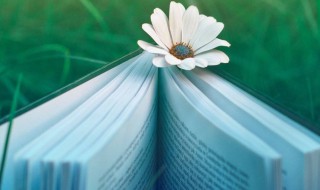 扶危济困的意思和造句 扶危济困解释