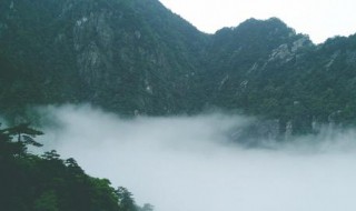 关于雾的作文 关于雾的范文