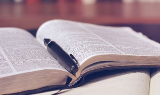 作文我的新老师 我的新老师作文怎么写