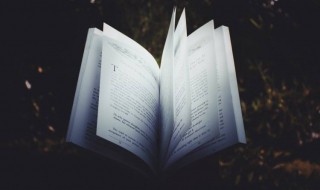 蜻蜓点水是什么意思 蜻蜓点水释义