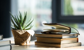 而今迈步从头越的意思 而今迈步从头越的意思简述