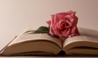 疾恶如仇的疾是什么意思 疾恶如仇的意思