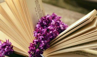 积劳成疾的疾是什么意思 积劳成疾的介绍