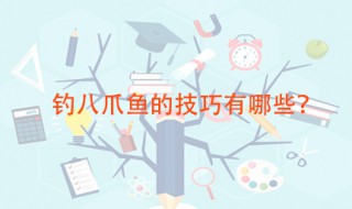 钓八爪鱼的技巧 钓杆应该怎么选