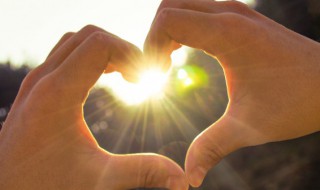 正能量阳光清新句子 正能量阳光清新句子有哪些