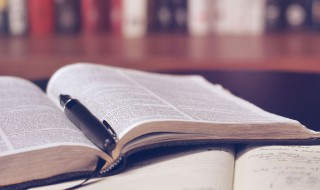 抛砖引玉的引什么意思 抛砖引玉的引释义