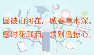 感时花溅泪恨别鸟惊心的意思 作者是谁