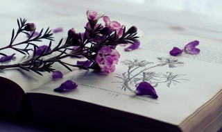 形容快乐的句子说说心情 开心的句子心情语录