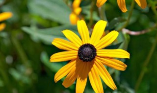 适合心情的说说的句子 适合发心情的说说的短句