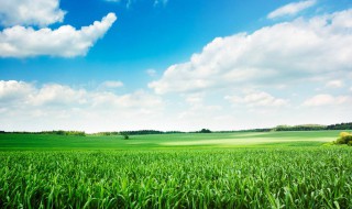 看到美景心情好的句子 形容心情风景优美的句子