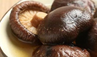 泡香菇最快的方法 如何快速泡发香菇