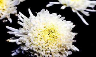 爷爷去世了简短说说 爷爷去世了的简短说说列述