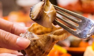海螺清洗方法 海螺怎么清洗