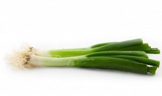 葱的育苗方法 大葱的育苗技术