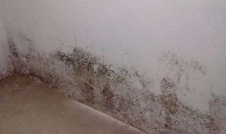 着火墙面处理方法 关于着火墙面的处理方法