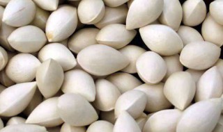 白果去壳的简易方法 白果去壳的方法介绍