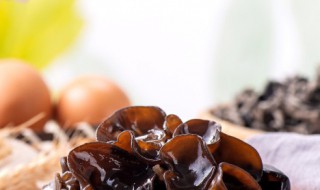 木耳的浇水管理方法 木耳的浇水管理方法简述