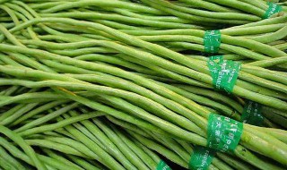 新鲜豆角存放方法 一些保存豆角的方法