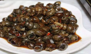 长期储存田螺方法 田螺如何保存？