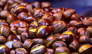 板栗怎么炒 炒板栗的做法介绍