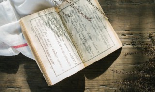 赏秋樱的句子 关于秋天樱花的唯美句子