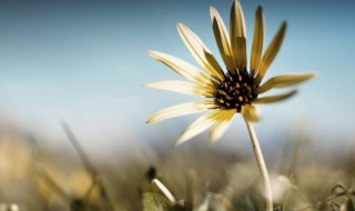 迎接2021年的句子 关于迎接2021年的说说