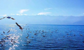 关于环境的句子 关于环境的句子有哪些