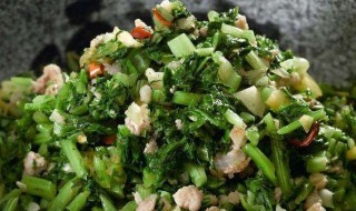 雪里红如何做才好吃 雪里红怎么做才好吃